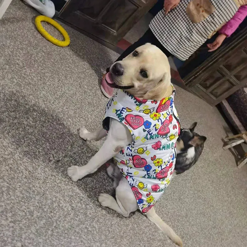 Colorful Waterproof Dog Jacket