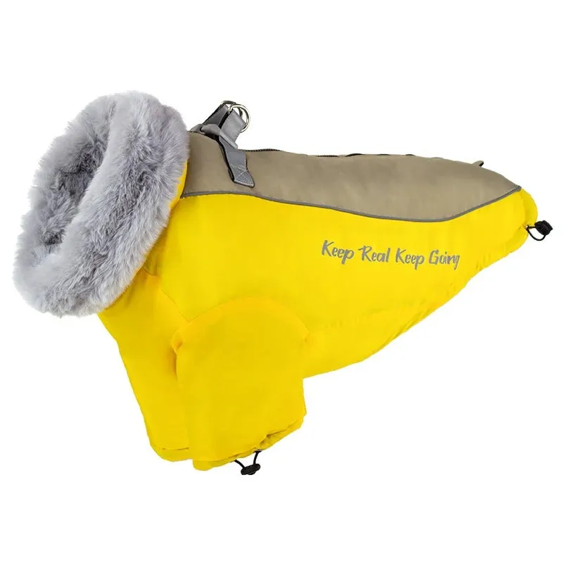 PolarPaws™ Premium Dog Down Jacket - Waterproof Winter Coat