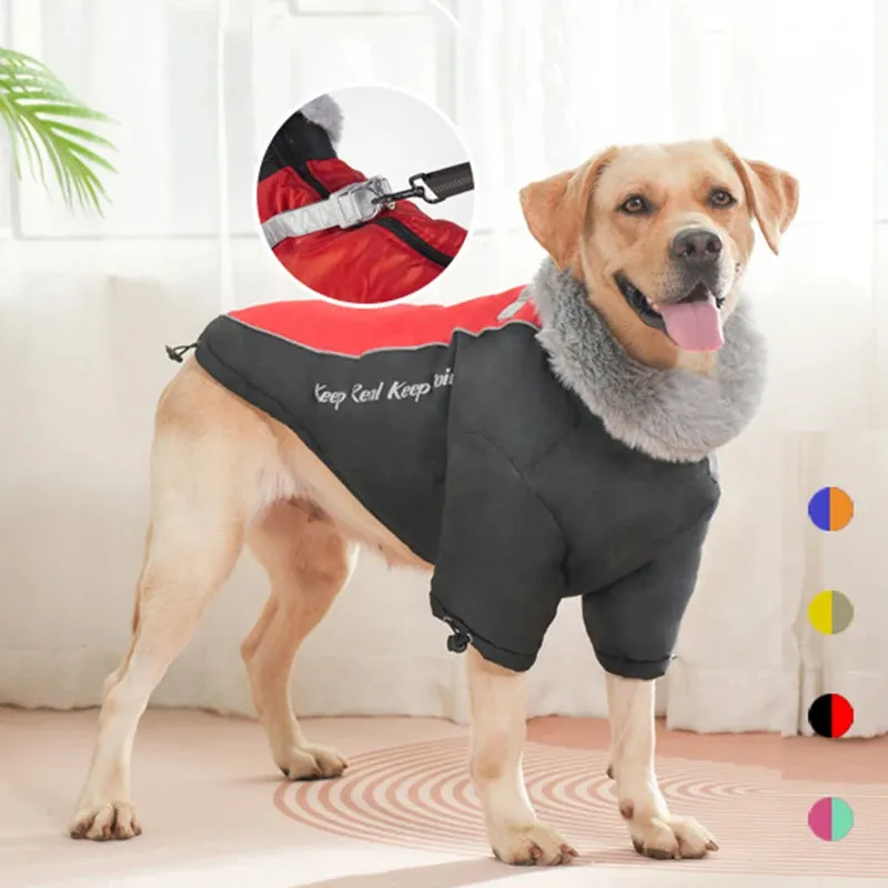 PolarPaws™ Premium Dog Down Jacket - Waterproof Winter Coat