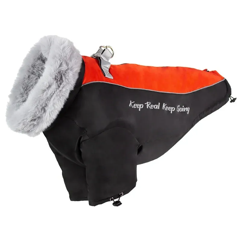 PolarPaws™ Premium Dog Down Jacket - Waterproof Winter Coat